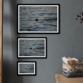 La nageuse - tirage haute qualité